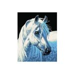 Canvas Hobby Kasnaklı 100 x 140 cm Yıldız At Sayılarla Boyama Seti