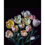 Canvas Hobby Kasnaklı 70 x 90 cm Yaşam Çiçeği Sayılarla Boyama Seti
