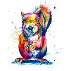 Canvas Hobby Sincap 50 x 65 cm Rulo Sayılarla Boyama Seti