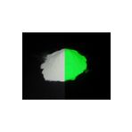 Capital 50g Yeşil Renk Fosfor Tozu Glow In Dark Karanlıkta Parlayan Boya