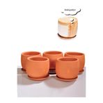 Cappadocia Pottery 5li Minik Boy Tabaklı Doğal Terleyen El Yapımı Çömlek Toprak Saksı Seti No.64