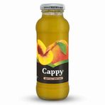 Cappy 250 ml Cam Şeftali Nektarı