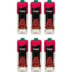 Cappy Bahçe Vişneli İçecek 1 lt x 6 Adet