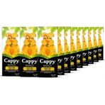 Cappy Kayısı 200 ml Nektarı Meyve Suyu