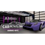 Car Detailing Simulator Ammo Nyc Dlc (Pc)
