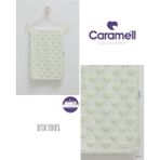 Caramell 1905 Yeşil Penye Bebek Battaniyesi