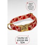 caramelos İSİMLİ KÖPEK TASMASI, YAVRU KÖPEK TASMASI, KÜÇÜK IRK KÖPEK TASMASI, METAL KİLİT, 1,5 CM DESEN 3-M