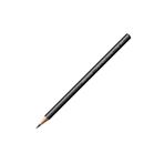 Caran d'Ache Grafwood Dereceli Kalem, 8B