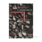 Carbonia - Nanni Balestrini