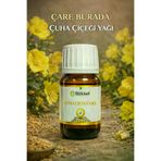 Çare Burada P5550S6773 Bitkisel Çuha Çiçeği Yağı 20 Ml
