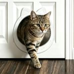 Caremyworld Büyük Kedi Kapı İç Kapısı, İç Kapı için Kediler için Kediler için Kediler için Pet Kapı, Kolay DIY Kurulum, Eğitim Yok, 22 lbs'ye kadar, Kurulumu Kolay (Kar Beyazı)