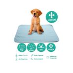 Careshop Abso Yıkanabilir Emici Tuvalet Eğitim Köpek Pedi ( 45x60 cm )