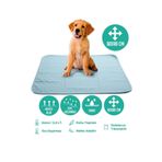 Careshop Abso Yıkanabilir Emici Tuvalet Eğitim Köpek Pedi ( 60x90 cm )