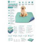 Careshop Abso Yıkanabilir Kedi Köpek Tuvalet Eğitim Pedi 75x85 cm | Emici Su Geçirmez Çişi Eğitim Altı Pedi