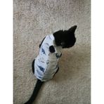 Carites Ameliyat Sonrası Yara Bölgesini Koruyan Kedi Tulumu - Beyaz - 2XL