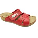 Carlaverde 150902-21 Anatomik Fashion Kadın Terlik