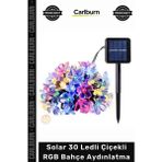 Carlburn #solar Dış Mekan Peyzaj Solar 30 Ledli Çiçekli Rgb Bahçe Aydınlatma Dekorasyon Güneş Enerjili