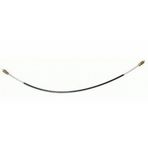 Carlovy CTG-34 3-4 Çello Kuyruk Bağı