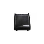 Carlsbro EDA30 30W Davul Monitör Amfi