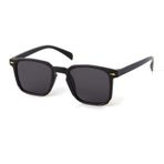 Carmelo Eyewear C01ge002 Siyah Polarize Erkek Güneş Gözlüğü
