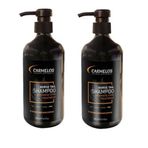 Carmelos At Kuyruğu 2x500 ml Şampuan