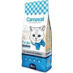 Carnaval Premium 6x5 lt Marsilya Bentonit Kedi Kumu
