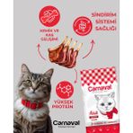 Carnaval Premium Cat Adult Lamb&rice Adult Kuzu Etli Yetişkin Kedi Maması 1.5 kg - 1,5 kg