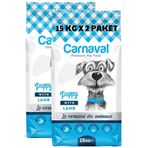 Carnaval Yetişkin Kuzu Etli Düşük Tahıllı Kuru 2x15 kg Köpek Kuru Mama