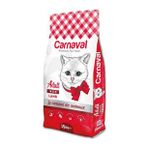 CARNAVAL YETİŞKİN KUZU ETLİ KEDİ MAMASI 15 KG (Renksiz)