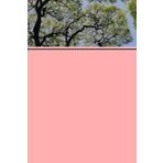 carnet de note Lignée jardinage , pour les jardiniers amateurs ou professionnels- jardinier, note sur les plantes - bloc note -carnet: carnet pour ... jardin -jardinières- suivit de jardinage- na