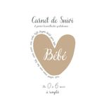 Carnet de Suivi Bébé : Cahier de suivi quotidien et en couleurs à remplir de 0 à 6 mois: Allaitement, biberon, tirage, diversification, activités, ... 0 à 6 mois : Jour après Jour avec Mon Bébé)