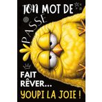 Carnet Mot de Passe: Youpi la Joie ! Impression en Couleur - 104 pages à Remplir avec Répertoire Alphabétique. Agenda Mot de Passe Petit Format Discret. Carnet pour Mot de Passe Internet