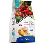 Carni Cat 1,5 kg Adult Balık/Portakal Kedi Maması