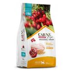 Carni Life Cranberry 10 kg Tavuk ve Narlı Yavru Kedi Maması