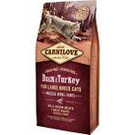 Carnilove Ördekli & Hindili Tahılsız Irı Irk Kedi Kuru Maması (Eklem, Kemik ve Kas Gelişimi Destekleyici ) 6 kg