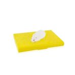 Carno Soğutucu Buz Torbalı 14x10x1 cm Hamster Yatağı
