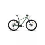 Carraro Crx 921 29 Jant 48 Kadro 21 Vites Dağ Bisikleti (175 Cm Üstü Boy) Ada Çayı Koyu Yeşil