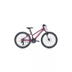 Carraro Force 401 24 Jant Shimano 21 Vites Dağ Bisikleti Mürdüm