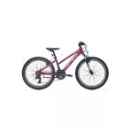 Carraro Force 401 V 24 Jant 21 Vites Kadın Dağ Bisikleti Mat Mürdüm-Pembe Mat Mürdüm - Pembe