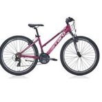 Carraro Force 601 21 Vites VB 26 Jant Mat Mürdüm Pembe Dağ Bisikleti