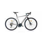 Carraro Gravel Ge 5.0 28 Jant Hd Elektrikli Bisiklet (Mat Gümüş-Siyah-Mavi)