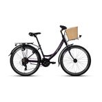 Carraro Jasmine 26 Jant Kadın Şehir Bisikleti 2026 Mor Açık Gri-38CM