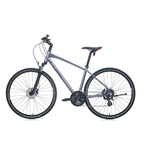 Carraro Sportive 225 24 Vites 28 Jant 51 cm Mat Mavi Yeşil Mor Şehir Bisikleti