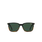 Carrera Erkek Güneş Gözlüğü 20837437N55QT