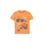 Carters Sarı Erkek Çocuk Tshirt