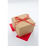 carton box Karton Kutu 1 Adet Kraft Küçük Sert Hediye Kutusu (EN 12*BOY 12*YÜKSEKLİK 9 cm)