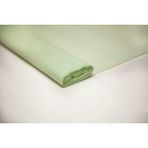 Cartotecnica Rossi Italyan Krapon Kağıdı NO:262 - Pastel Yeşili (Mint Yeşili) 60 Gr. 50*250 cm - Renkli
