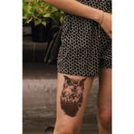 Caş Dekorasyon Baykuş Geçici Dövme Tattoo