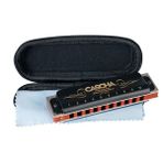 Cascha HH 2025 Professional Blues Harmonica