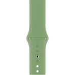 Casetify Apple Watch Seri 1/2/3/4/5/6/7/8/se/ultra 38MM 40MM 41MM Kordon Kayış Bileklik Klasik Silikon Açık Çağla - 38 mm